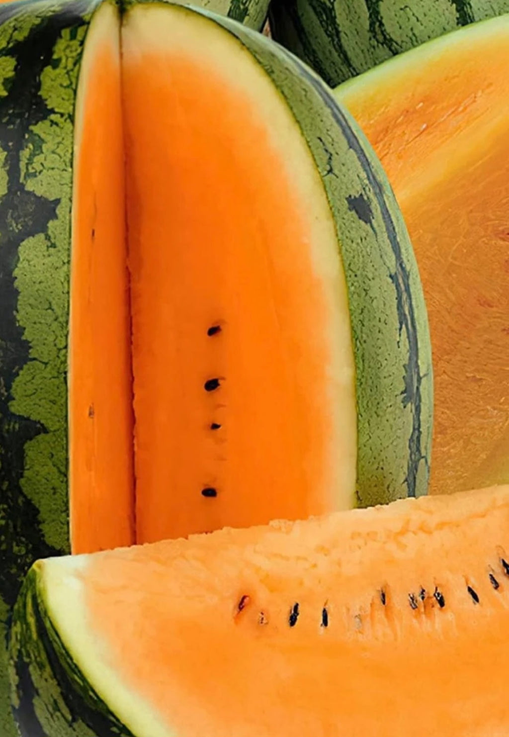 🍋 Yellow-Flesh Watermelon Seeds,🍊 Orange-Flesh Watermelon Seeds  🍉 Red-Flesh Watermelon Seeds
