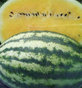 🍋 Yellow-Flesh Watermelon Seeds,🍊 Orange-Flesh Watermelon Seeds  🍉 Red-Flesh Watermelon Seeds