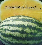 🍋 Yellow-Flesh Watermelon Seeds,🍊 Orange-Flesh Watermelon Seeds  🍉 Red-Flesh Watermelon Seeds