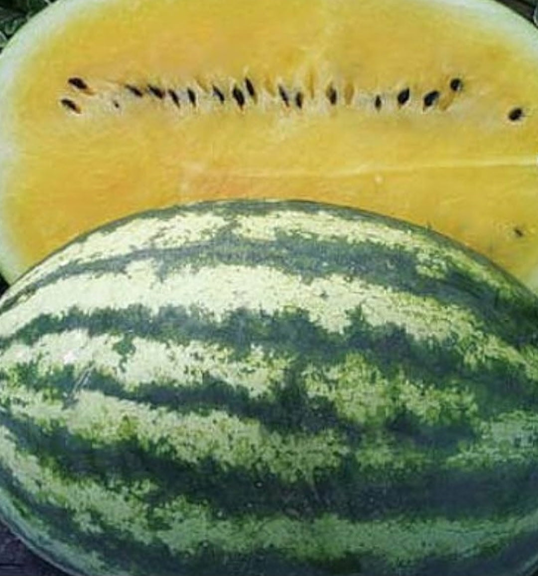 🍋 Yellow-Flesh Watermelon Seeds,🍊 Orange-Flesh Watermelon Seeds  🍉 Red-Flesh Watermelon Seeds