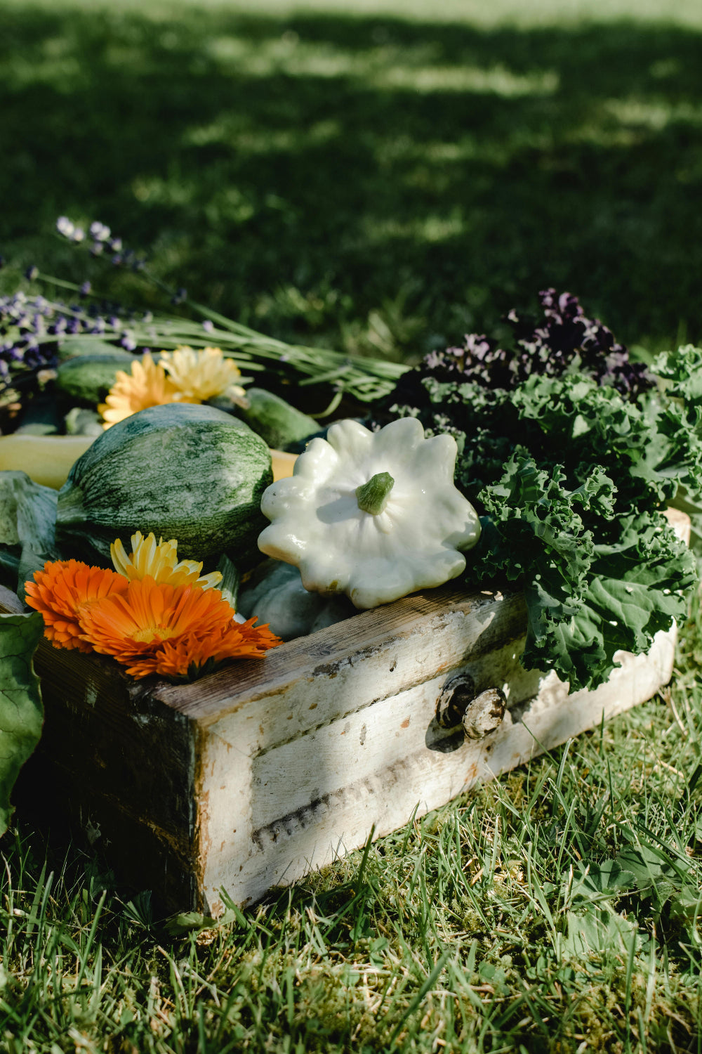 Wooden box with flowers and vegetables on a grassy field