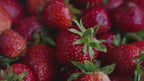Fresh Organic Strawberries