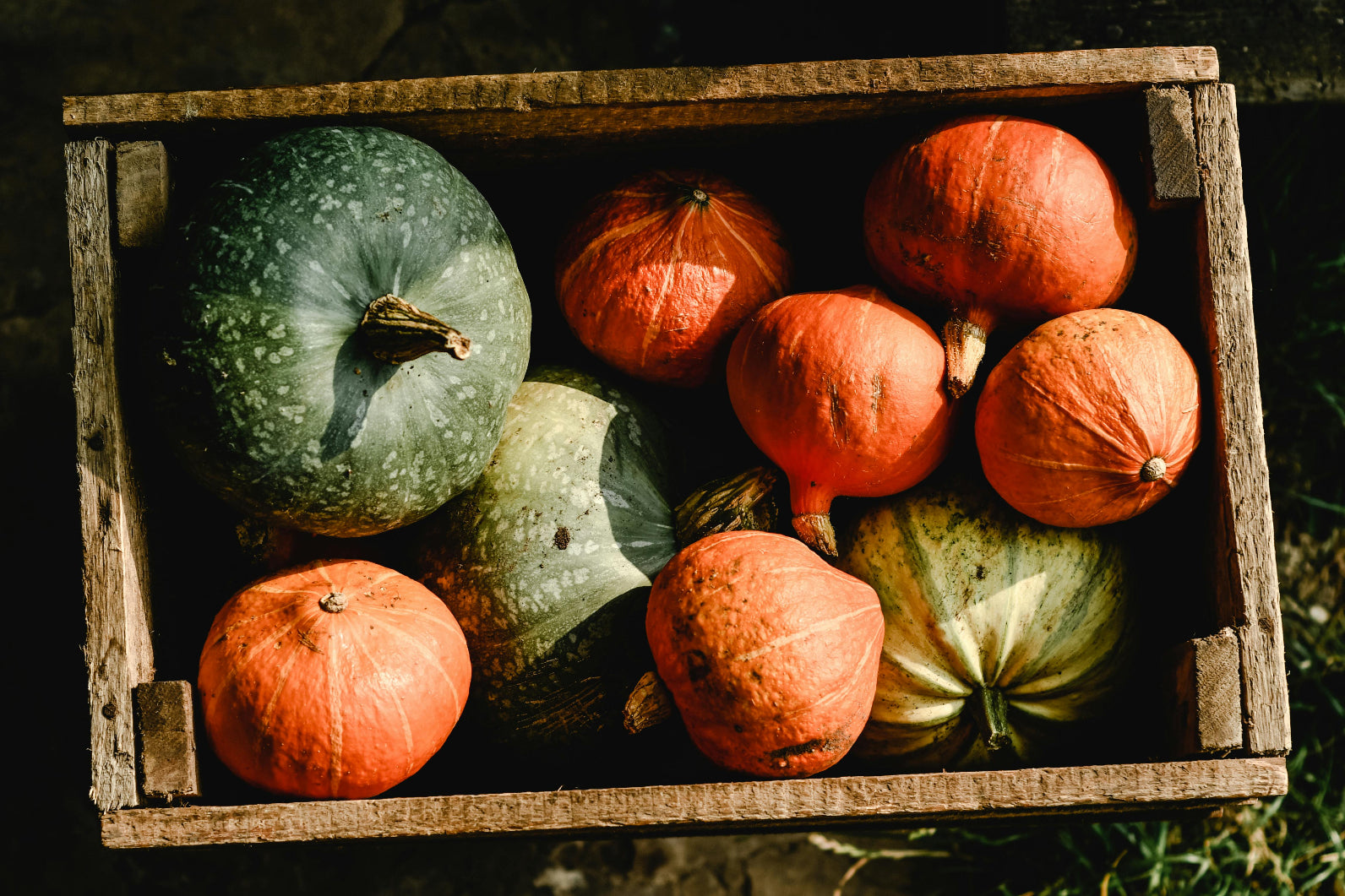 🌿 Signature Harvest Box